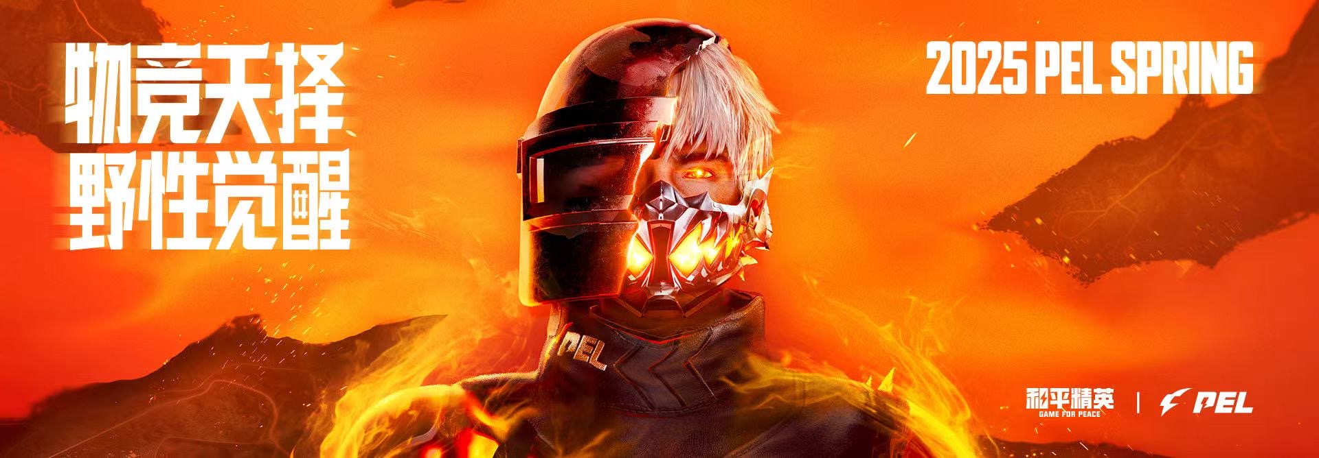 和平精英辅助：游戏公平性与技术挑战